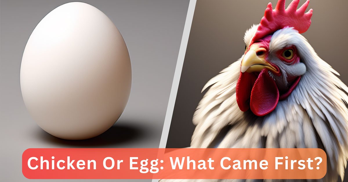 Chicken Or Egg: What Came First?