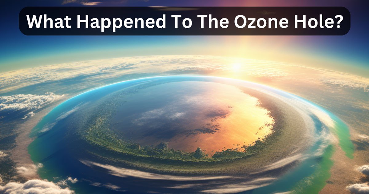 What Happened To The Ozone Hole?